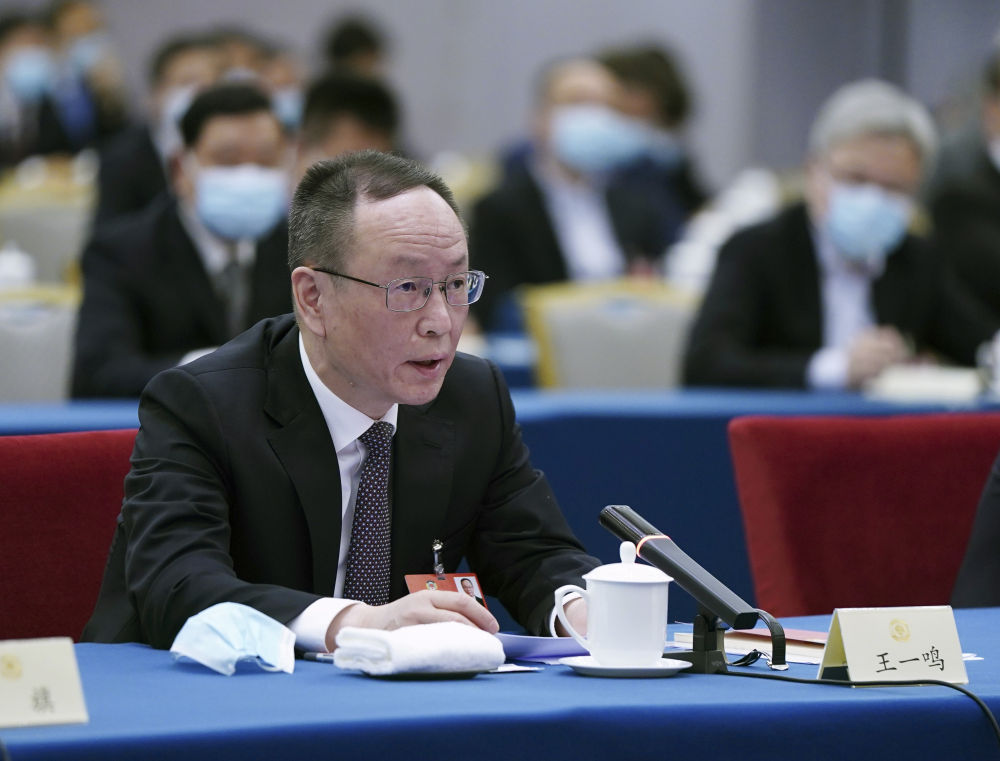 5月23日，全國政協(xié)委員王一鳴在經(jīng)濟界聯(lián)組會上發(fā)言。新華社記者　謝環(huán)馳　攝